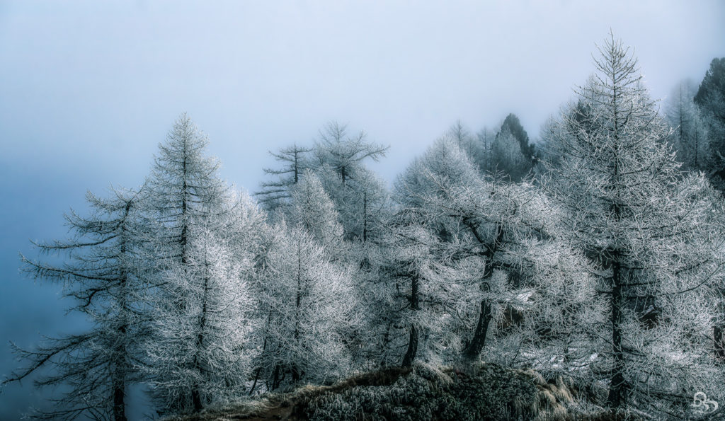 winter ticino snow switzerland